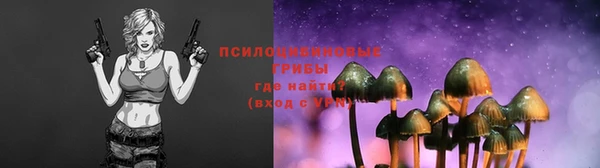 скорость Алзамай
