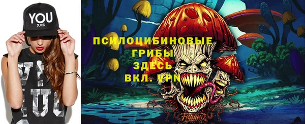 первитин Алексин