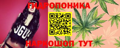 apvp Берёзовский