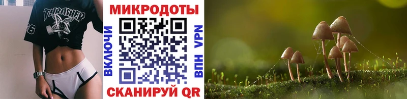 где купить   Ленинск-Кузнецкий  Псилоцибиновые грибы мухоморы 
