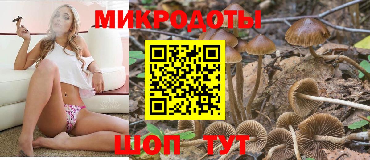 Ленинск-Кузнецкий  Галлюциногенные грибы Cubensis  Вход с VPN 