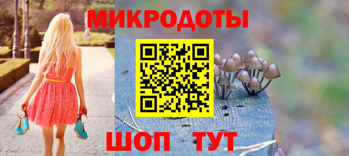 Галлюциногенные грибы Psilocybe Ленинск-Кузнецкий